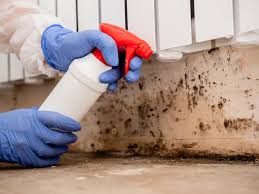 Best Mold Documentation for Insurance Claims  in Standish, MI